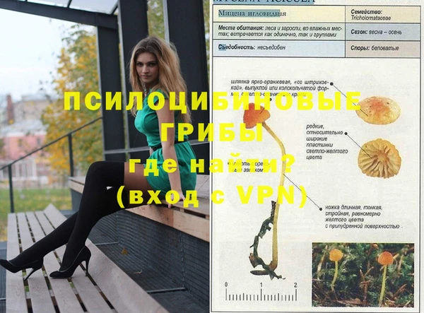 каннабис Абаза