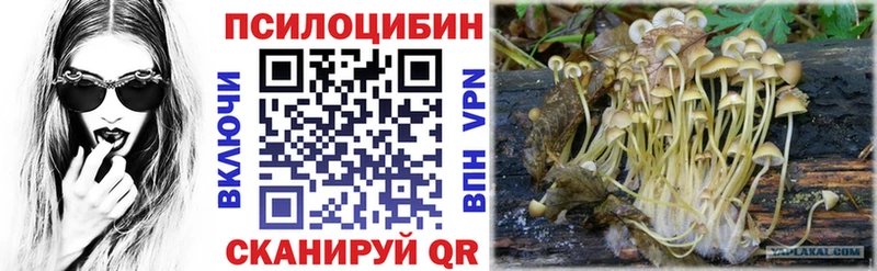 дарк нет состав где найти наркотики Инсар Галлюциногенные грибы ЛСД