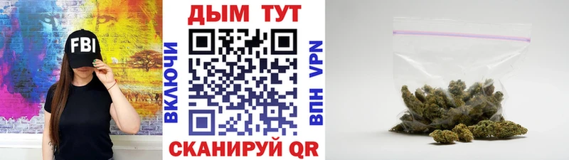 Каннабис семена  OMG зеркало  Инсар 